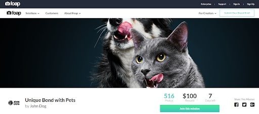 copyright free photos foap pets