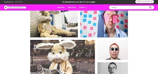 free images to use gratisography gallery weird
