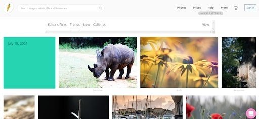 photocase gallery trends free images to use