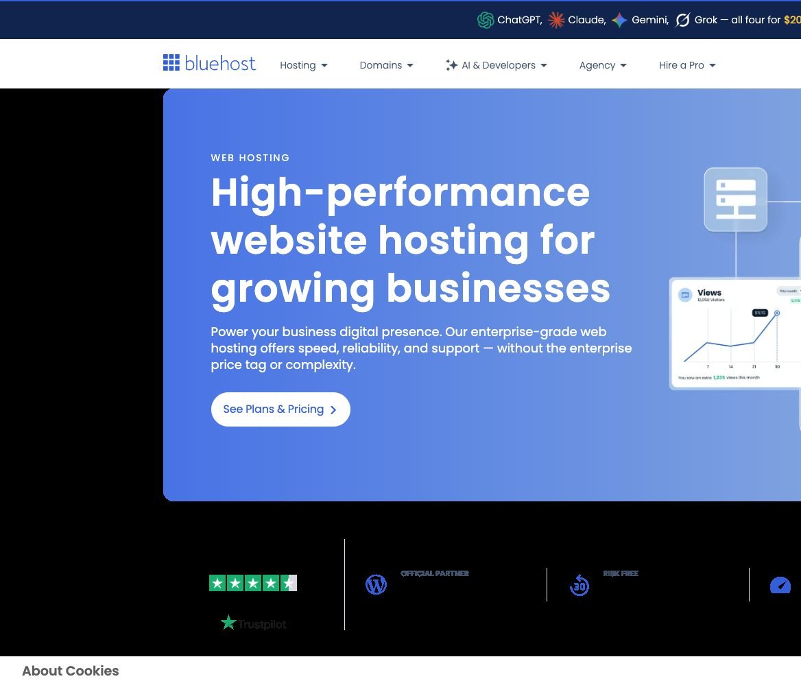 Bluehost homepage hero for high-performance web hosting and WordPress official partner badge