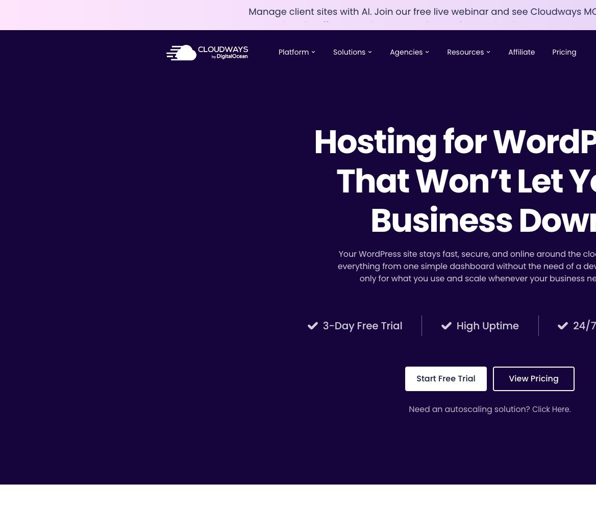 Cloudways by DigitalOcean WordPress hosting hero with 3-day free trial
