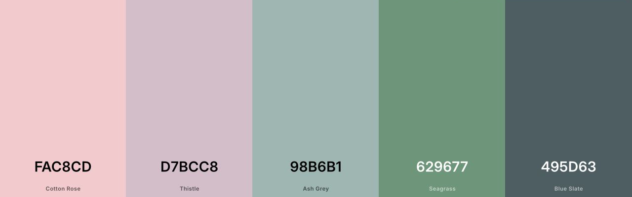 Coolors palette generator displaying five coordinated website colors and their hex codes