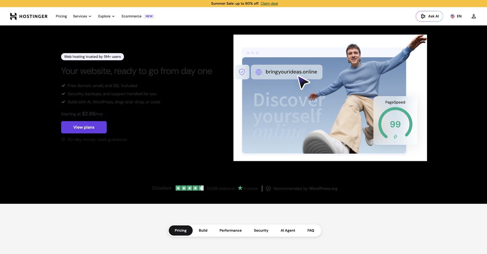 Hostinger web hosting