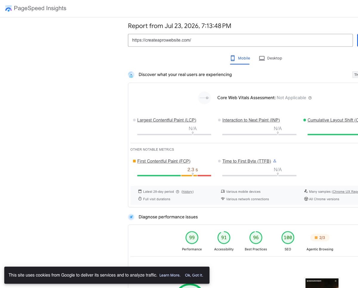 Google PageSpeed Insights performance score and Core Web Vitals results