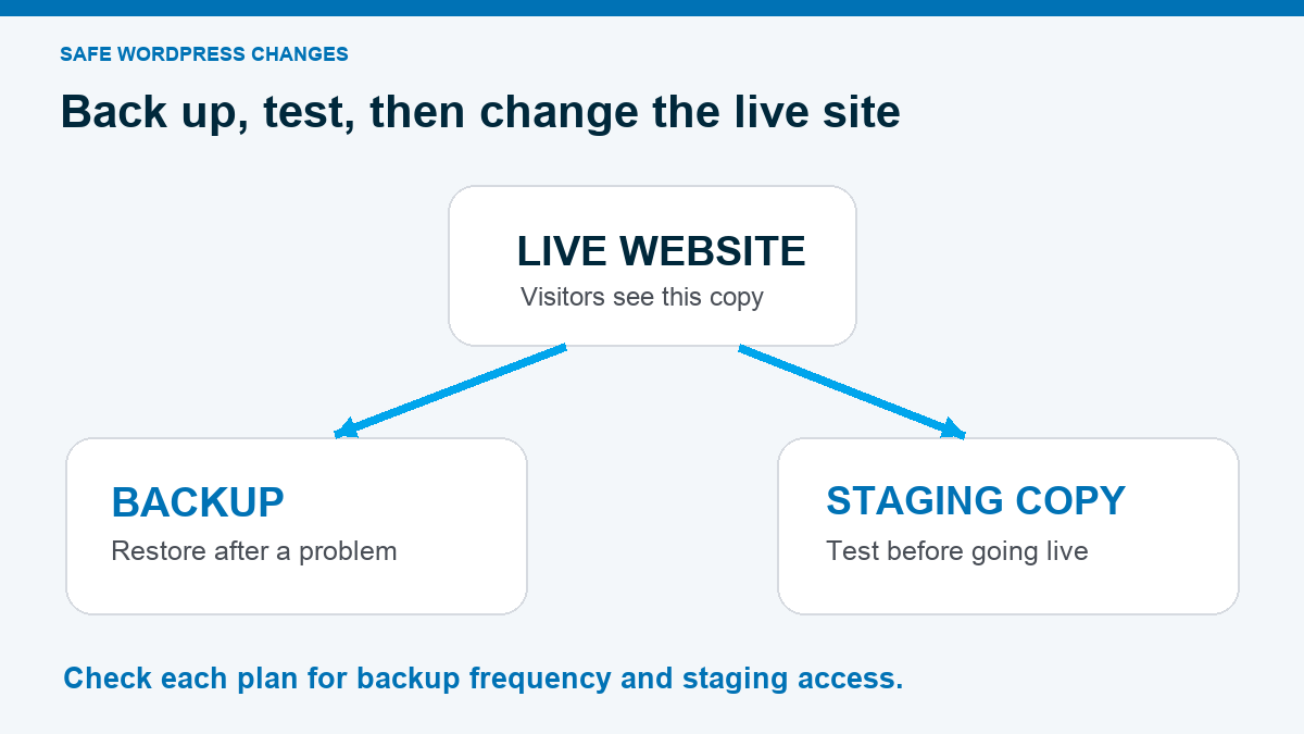 A live website branches to a backup for restoration and a staging copy for testing